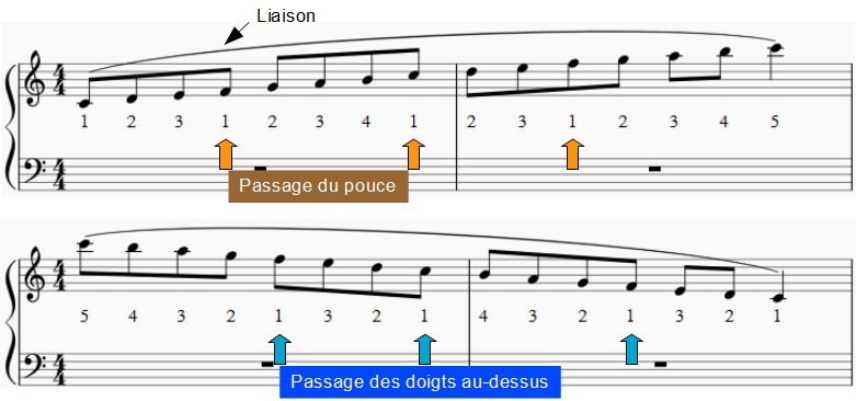 Passage du pouce de la main droite pour la gamme de Do. En montant, le pouce passe en dessous ; en descendant les doigts (3 puis 4 passent au-dessus). Dans une gamme ou un arpège, le passage du pouce permet de lier les notes.